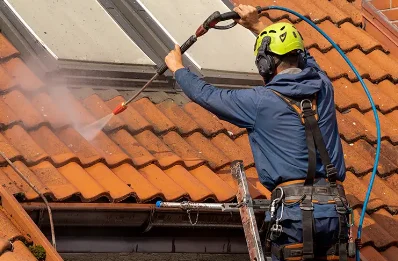 Démoussage et hydrofuge de toiture à Cantin